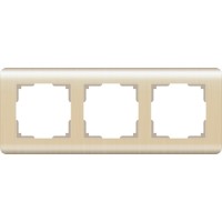 Рамка Шампань WL12-Frame-03