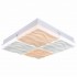 Потолочный светильник Led 10204/4LED