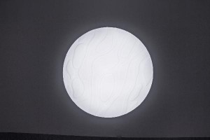 Потолочный светильник Canaglia OML-47607-80