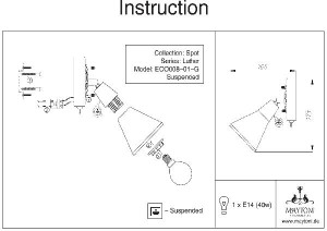 Спот Luther SP008-CW-01-G