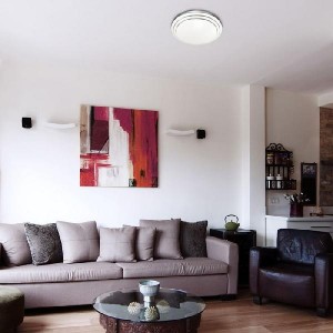 Настенно-потолочный светильник Flim 2046/CL