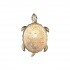Настенный светильник Turtle 2256-1W