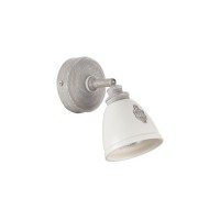 Спот Agnes SP289-CW-01-BG
