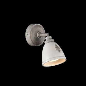 Спот Agnes SP289-CW-01-BG