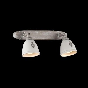 Спот Agnes SP289-CW-02-BG