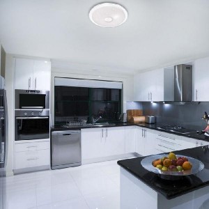 Настенно-потолочный светильник Galeo 2054/DL