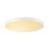Потолочный светильник DWR DWR-1001X12-120-NW