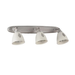 Спот Agnes SP289-CW-03-BG