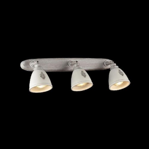 Спот Agnes SP289-CW-03-BG