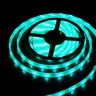 Светодиодная лента  LC-5050-W-12RGB30 IP68