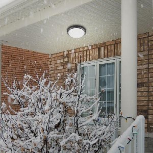 Потолочный светильник Opal 357507