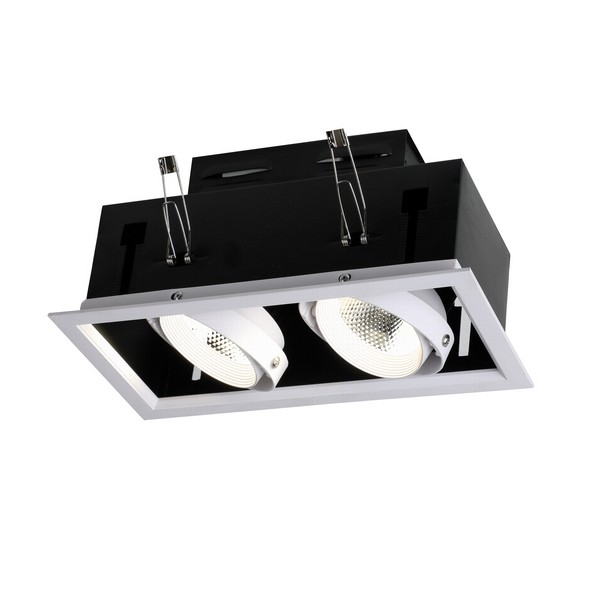 Точечный светильник Flashled 1985-2C Точечный светильник Flashled 1985-2C