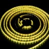 Светодиодная лента  LC-5050-W-12RGB60 IP68
