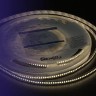 Светодиодная лента LUX DSG2A300-24-WW-33