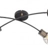 Потолочная люстра Argusto 54013-4D
