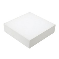 Потолочный светильник QUADRO 029480