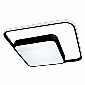 Потолочный светильник Led 10210/2LED