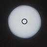 Потолочный светильник Limoges OML-18307-80