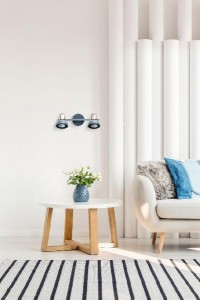 Спот Хоф 552020202