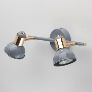 Спот Хоф 552020202