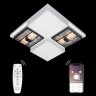 Потолочная люстра HIGH-TECH LED LAMPS HIGH-TECH LED LAMPS 82011