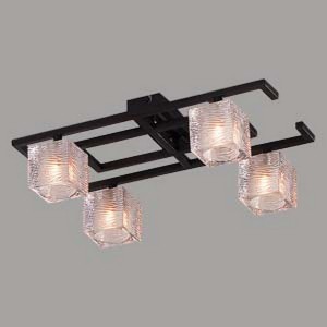 Потолочная люстра Solid CL213145