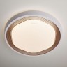 Потолочный светильник Range 40005/1 LED кофе