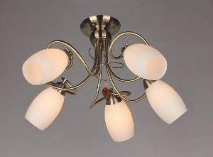 Потолочная люстра Perthois OML-37227-05