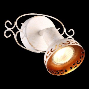 Спот Focus A5219AP-1WG