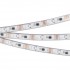 Светодиодная лента SPI 028873