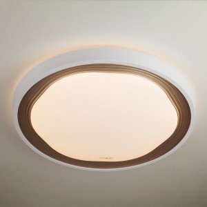 Потолочный светильник Range 40006/1 LED кофе