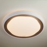 Потолочный светильник Range 40006/1 LED кофе