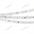Светодиодная лента ARL-50000PC 024860