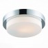 Настенно-потолочный светильник Bagno SL498.502.02