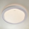 Потолочный светильник Range 40006/1 LED белый
