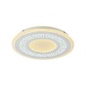 Потолочный светильник Ledolution 2273-5C