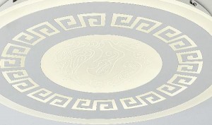 Потолочный светильник Ledolution 2273-5C