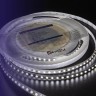 Светодиодная лента LUX DSG3120-24-NW-33