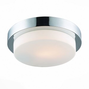 Настенно-потолочный светильник Bagno SL498.552.01