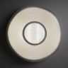 Потолочный светильник Shine 40011/1 LED белый
