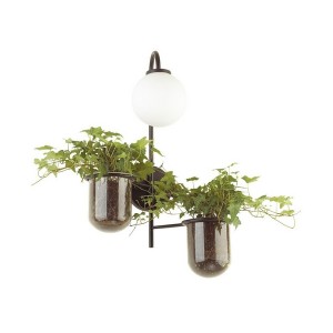 Бра Flower 4681/1W