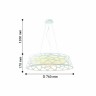 Подвесной светильник Arcanum 2505-5PC
