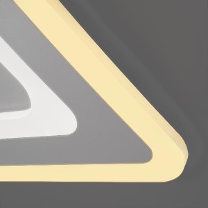 Потолочный светильник Salient 90155/4