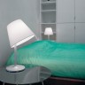 Интерьерная настольная лампа Melampo 0315010A