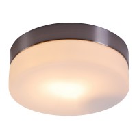 Потолочный светильник Opal 48401