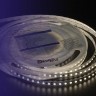 Светодиодная лента LUX DSG3120-24-WW-33