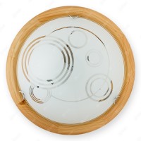 Настенно-потолочный светильник Margaret TL9003Y-02PN
