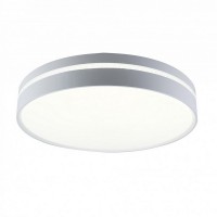 Потолочный светильник  10224/S LED