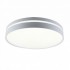 Потолочный светильник  10224/S LED