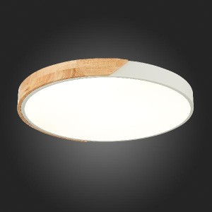 Потолочный светильник Festa SLE200952-01